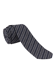 Neck Tie: Diagonal Stripe